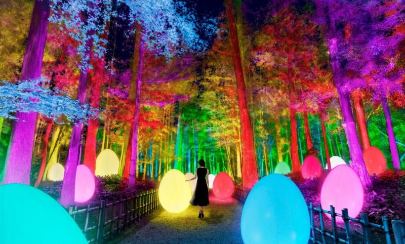 teamLab teamLab